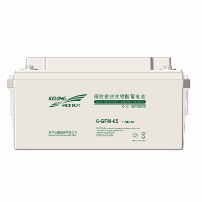瓦尔塔 65D23L 蓄电池
